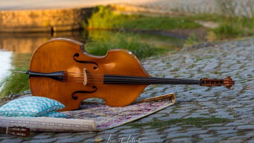 Une contrebasse posé sur le sol