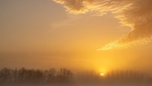 Un lever de soleil brumeux illumine un champ vert, la lumière dorée perçant à travers les arbres et une brume épaisse, avec un ciel orangé nuageux en haut.