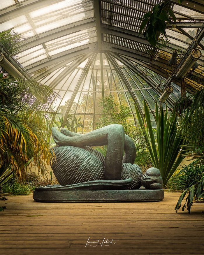 Sculpture d'une mouche morte, sur le dos, exposé dans une serre du jardin des plantes de Nantes.