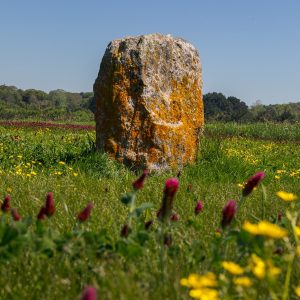 Saillé - Menhir de la pierre Saillé