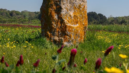 Saillé - Menhir de la pierre Saillé
