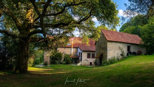 Vue extérieure d'une maison d'hôte en Creuse, avec un grand arbre au premier plan et un jardin verdoyant. 