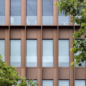 Façade de la Maison de l'Innovation ornée de fenêtres en verre encadrées de métal couleur bronze, avec des arbres verts en partie visibles sur les côtés.
